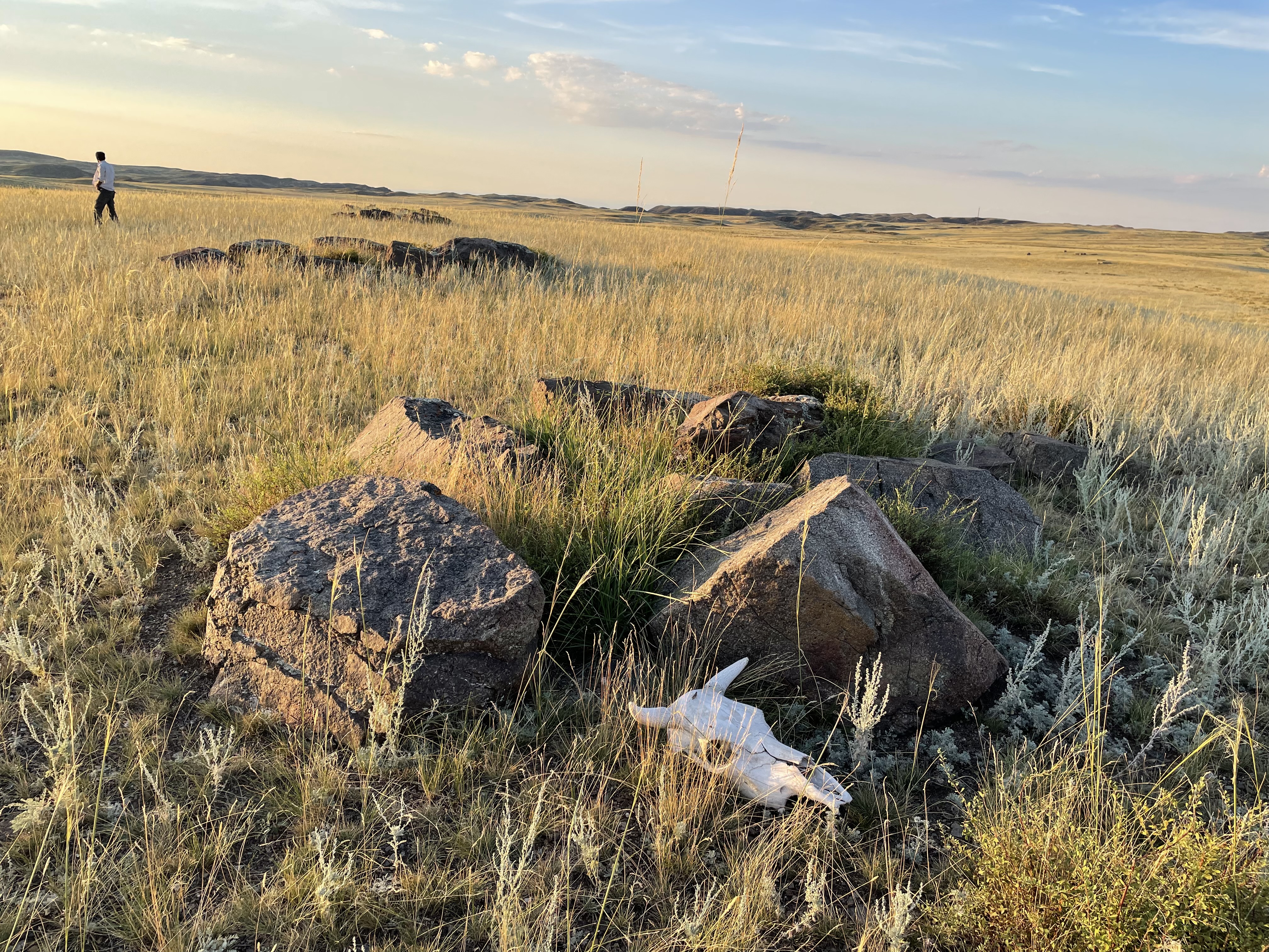 Landscape survey in the Tarbagatai foothills